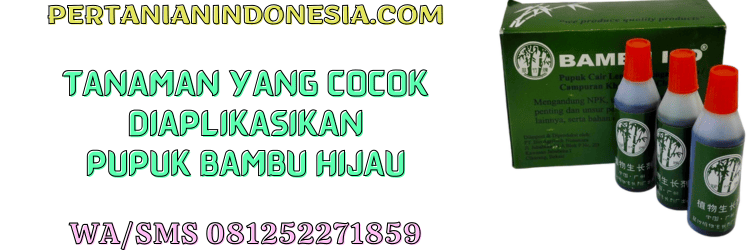 tanaman,petani,budidaya,budidaya tanaman,pertanian indonesia